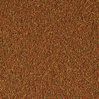 دانه های غذای نانوویت